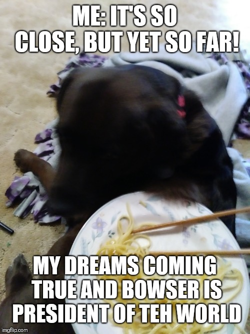 Noodle Doggo | ME: IT'S SO CLOSE, BUT YET SO FAR! MY DREAMS COMING TRUE AND BOWSER IS PRESIDENT OF TEH WORLD | image tagged in funny | made w/ Imgflip meme maker