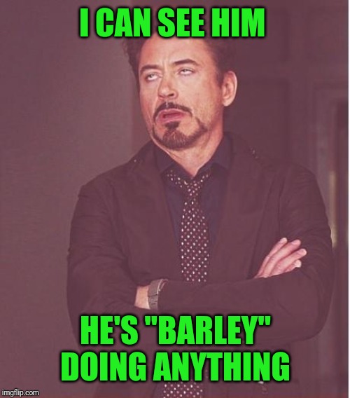 Face You Make Robert Downey Jr Meme | I CAN SEE HIM HE'S "BARLEY" DOING ANYTHING | image tagged in memes,face you make robert downey jr | made w/ Imgflip meme maker