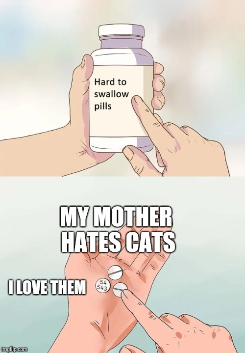 Meow | MY MOTHER HATES CATS; I LOVE THEM | image tagged in memes,hard to swallow pills | made w/ Imgflip meme maker