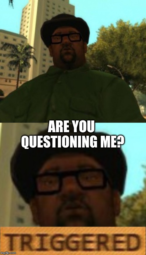 ARE YOU QUESTIONING ME? | image tagged in big smoke's serious face | made w/ Imgflip meme maker