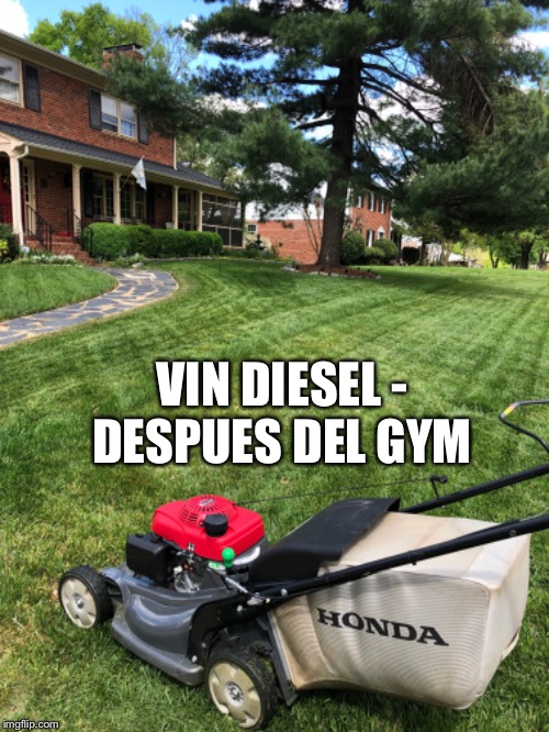 VIN DIESEL - DESPUES DEL GYM | image tagged in donald trump,gym | made w/ Imgflip meme maker