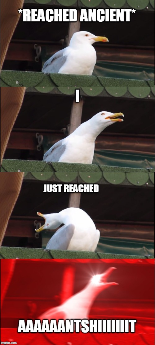 Inhaling Seagull Meme | *REACHED ANCIENT*; I; JUST REACHED; AAAAAANTSHIIIIIIIT | image tagged in memes,inhaling seagull | made w/ Imgflip meme maker