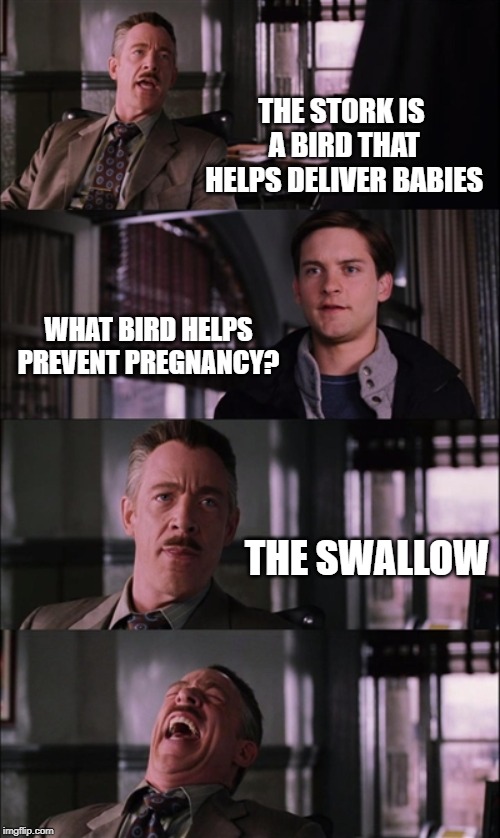 Spiderman Laugh | THE STORK IS A BIRD THAT HELPS DELIVER BABIES; WHAT BIRD HELPS PREVENT PREGNANCY? THE SWALLOW | image tagged in memes,spiderman laugh | made w/ Imgflip meme maker