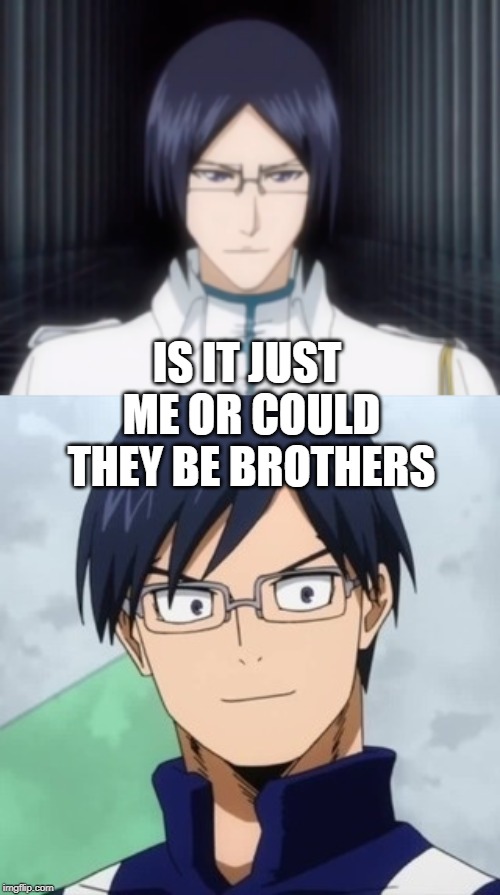 uryu and tenya | IS IT JUST ME OR COULD THEY BE BROTHERS | image tagged in my hero academia,bleach | made w/ Imgflip meme maker