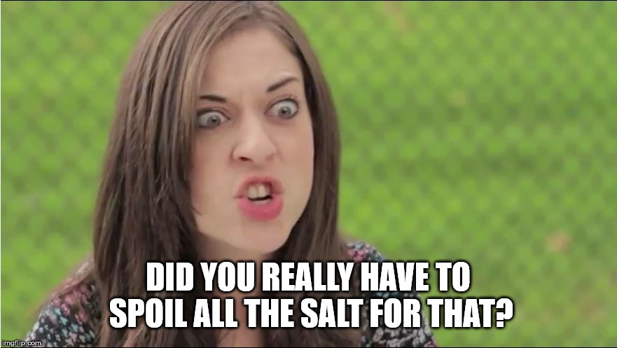 DID YOU REALLY HAVE TO SPOIL ALL THE SALT FOR THAT? | image tagged in internet outrage becky | made w/ Imgflip meme maker