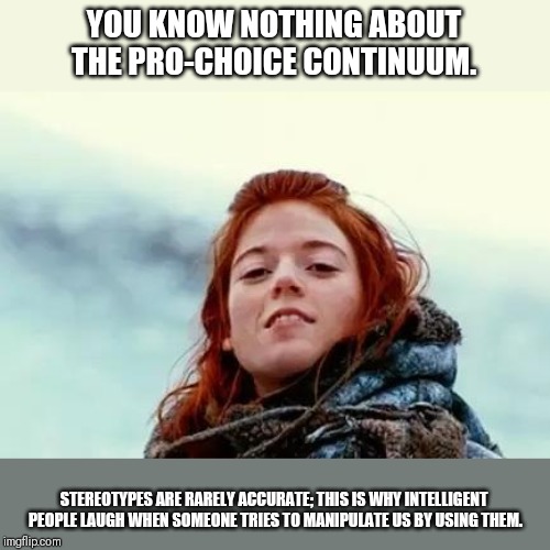You know nothing | YOU KNOW NOTHING ABOUT THE PRO-CHOICE CONTINUUM. STEREOTYPES ARE RARELY ACCURATE; THIS IS WHY INTELLIGENT PEOPLE LAUGH WHEN SOMEONE TRIES TO | image tagged in you know nothing | made w/ Imgflip meme maker