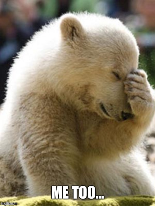 Facepalm Bear Meme | ME TOO... | image tagged in memes,facepalm bear | made w/ Imgflip meme maker