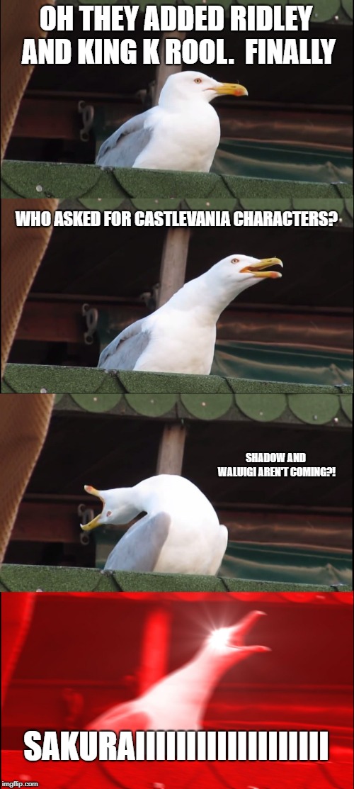Inhaling Seagull | OH THEY ADDED RIDLEY AND KING K ROOL.  FINALLY; WHO ASKED FOR CASTLEVANIA CHARACTERS? SHADOW AND WALUIGI AREN'T COMING?! SAKURAIIIIIIIIIIIIIIIIIII | image tagged in memes,inhaling seagull | made w/ Imgflip meme maker