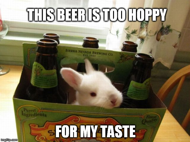 Pun Weekend - a Triumph_9 and Craziness_all_the_way event | THIS BEER IS TOO HOPPY; FOR MY TASTE | image tagged in pun weekend,beer,bunny,triumph_9,craziness_all_the_way | made w/ Imgflip meme maker