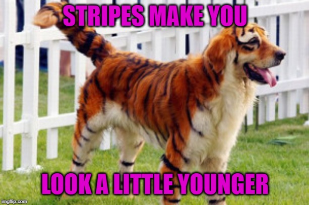 STRIPES MAKE YOU LOOK A LITTLE YOUNGER | made w/ Imgflip meme maker