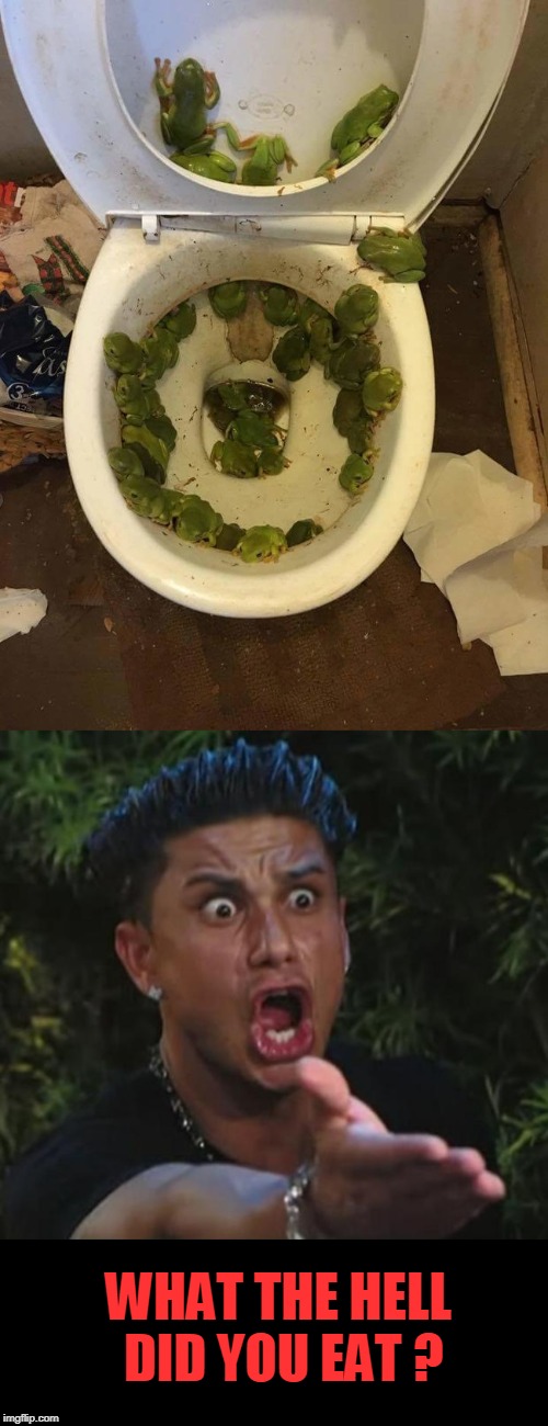 WHAT THE HELL DID YOU EAT ? | image tagged in memes,dj pauly d,what the hell did i eat | made w/ Imgflip meme maker