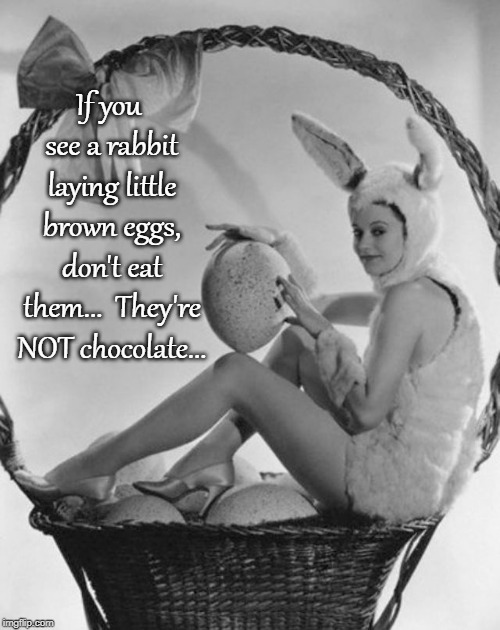 Not Chocolate... | If you see a rabbit laying little brown eggs, don't eat them...  They're NOT chocolate... | image tagged in rabbit,eggs,brown,chocolate | made w/ Imgflip meme maker
