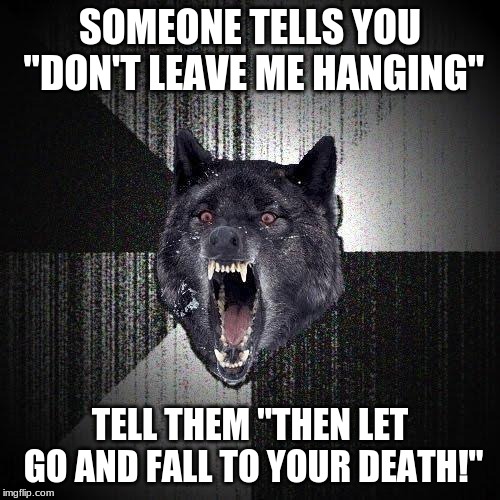Too savage? | SOMEONE TELLS YOU "DON'T LEAVE ME HANGING"; TELL THEM "THEN LET GO AND FALL TO YOUR DEATH!" | image tagged in memes,insanity wolf,sayings,phrases,don't leave me hanging,no chill | made w/ Imgflip meme maker