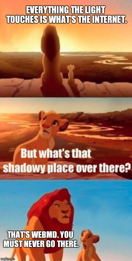 Simba Shadowy Place | EVERYTHING THE LIGHT TOUCHES IS WHAT'S THE INTERNET. THAT'S WEBMD. YOU MUST NEVER GO THERE. | image tagged in memes,simba shadowy place | made w/ Imgflip meme maker