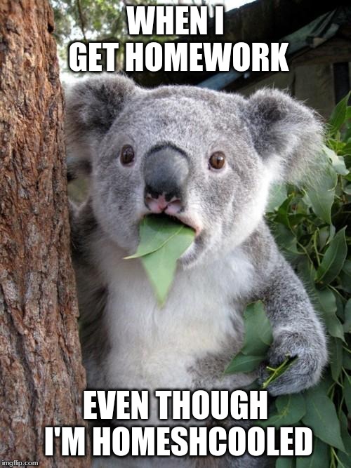 Surprised Koala Meme | WHEN I GET HOMEWORK; EVEN THOUGH I'M HOMESHCOOLED | image tagged in memes,surprised koala | made w/ Imgflip meme maker