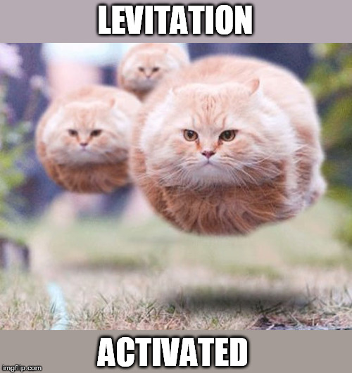 Flying cats | LEVITATION ACTIVATED | image tagged in flying cats | made w/ Imgflip meme maker