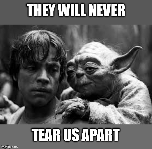 yoda luke | THEY WILL NEVER TEAR US APART | image tagged in yoda luke | made w/ Imgflip meme maker