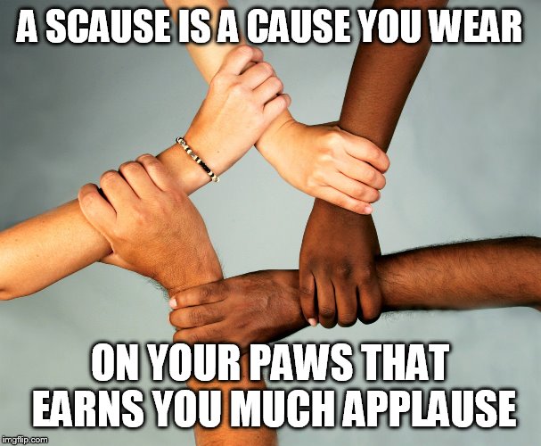 south park did it | A SCAUSE IS A CAUSE YOU WEAR; ON YOUR PAWS THAT EARNS YOU MUCH APPLAUSE | image tagged in american diversity | made w/ Imgflip meme maker
