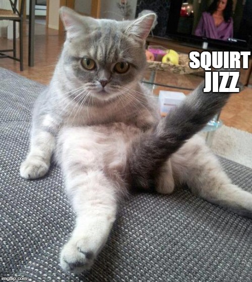 Sexy Cat Meme | JIZZ SQUIRT | image tagged in memes,sexy cat | made w/ Imgflip meme maker