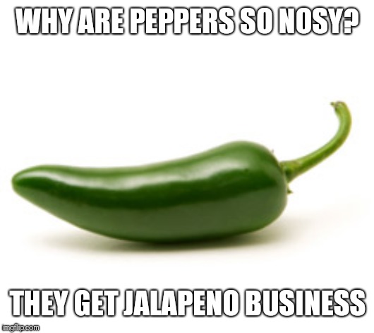 Nosy pepper edition - "Pun Weekend" (19th-21st) A Triumph_9 & Craziness_all_the_way event | WHY ARE PEPPERS SO NOSY? THEY GET JALAPENO BUSINESS | image tagged in jalapeno,pun weekend,craziness_all_the_way,triumph_9,ba dum tss | made w/ Imgflip meme maker