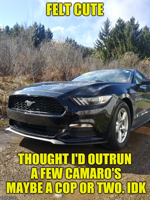 Felt Cute | FELT CUTE; THOUGHT I'D OUTRUN A FEW CAMARO'S MAYBE A COP OR TWO. IDK | image tagged in felt cute,mustang,funny,memes | made w/ Imgflip meme maker