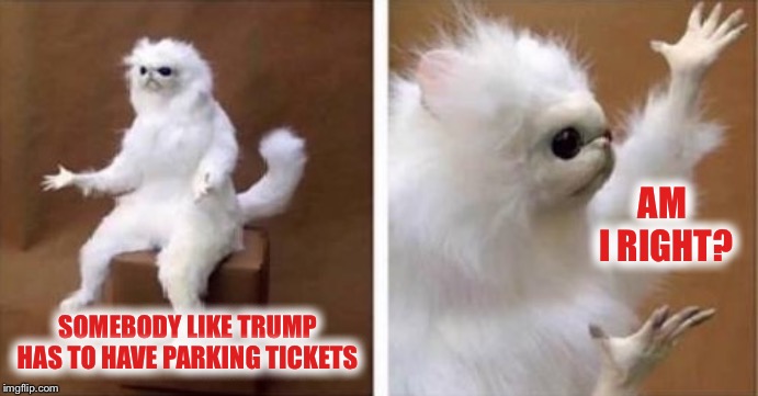 White monkey | AM I RIGHT? SOMEBODY LIKE TRUMP HAS TO HAVE PARKING TICKETS | image tagged in white monkey | made w/ Imgflip meme maker