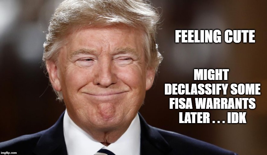 Donald Trump smiling | FEELING CUTE; MIGHT DECLASSIFY SOME FISA WARRANTS LATER . . . IDK | image tagged in donald trump smiling | made w/ Imgflip meme maker