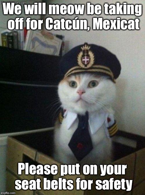 Captain Kittian (Killian) | We will meow be taking off for Catcún, Mexicat; Please put on your seat belts for safety | image tagged in captain cat | made w/ Imgflip meme maker
