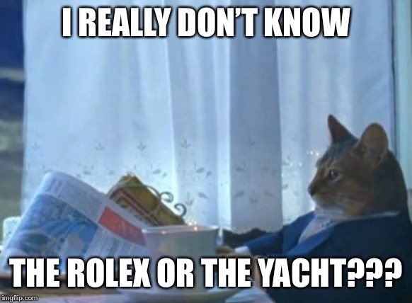 I Should Buy A Boat Cat | I REALLY DON’T KNOW; THE ROLEX OR THE YACHT??? | image tagged in memes,i should buy a boat cat | made w/ Imgflip meme maker