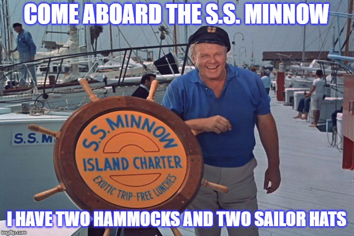 skipper | COME ABOARD THE S.S. MINNOW; I HAVE TWO HAMMOCKS AND TWO SAILOR HATS | image tagged in skipper,funny | made w/ Imgflip meme maker