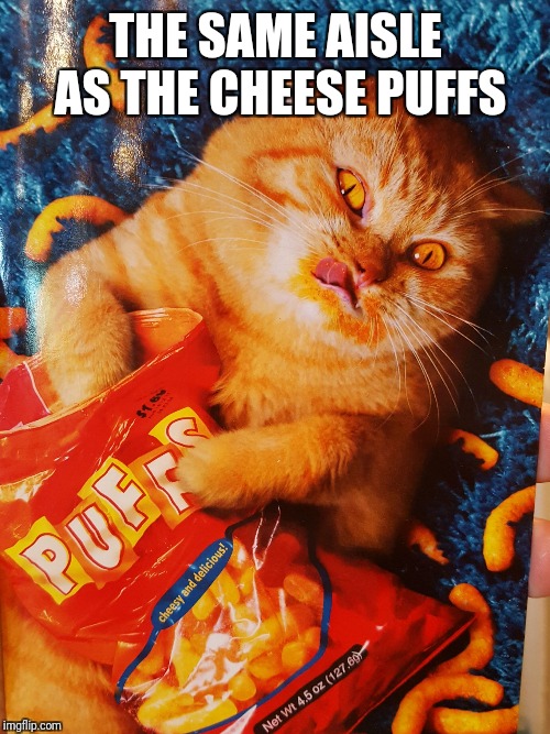 Cat eating Cheetos | THE SAME AISLE AS THE CHEESE PUFFS | image tagged in cat eating cheetos | made w/ Imgflip meme maker