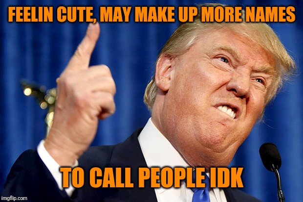 Donald Trump | FEELIN CUTE, MAY MAKE UP MORE NAMES TO CALL PEOPLE IDK | image tagged in donald trump | made w/ Imgflip meme maker