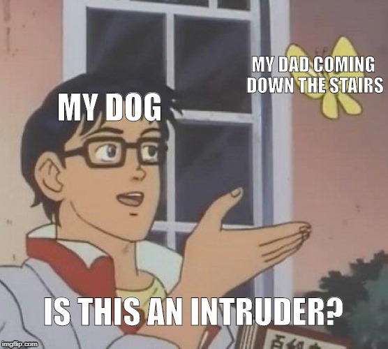 Is This A Pigeon | MY DAD COMING DOWN THE STAIRS; MY DOG; IS THIS AN INTRUDER? | image tagged in memes,is this a pigeon | made w/ Imgflip meme maker