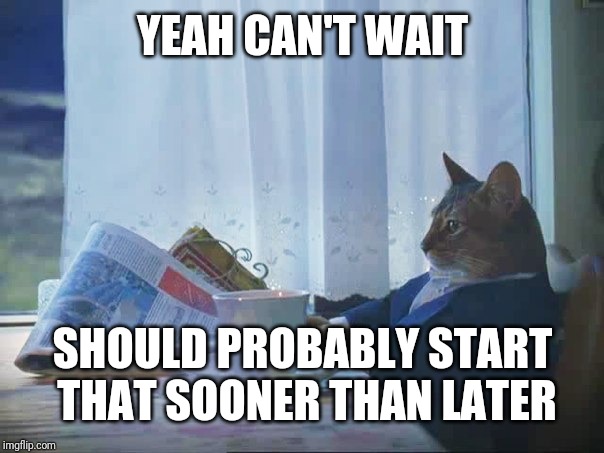 Cat reading newspaper | YEAH CAN'T WAIT SHOULD PROBABLY START THAT SOONER THAN LATER | image tagged in cat reading newspaper | made w/ Imgflip meme maker