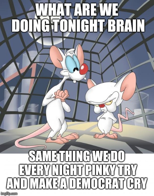 Pinky and the brain | WHAT ARE WE DOING TONIGHT BRAIN; SAME THING WE DO EVERY NIGHT PINKY TRY AND MAKE A DEMOCRAT CRY | image tagged in pinky and the brain | made w/ Imgflip meme maker