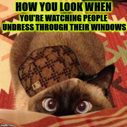 HOW YOU LOOK | YOU'RE WATCHING PEOPLE UNDRESS THROUGH THEIR WINDOWS; HOW YOU LOOK WHEN | image tagged in how you look | made w/ Imgflip meme maker