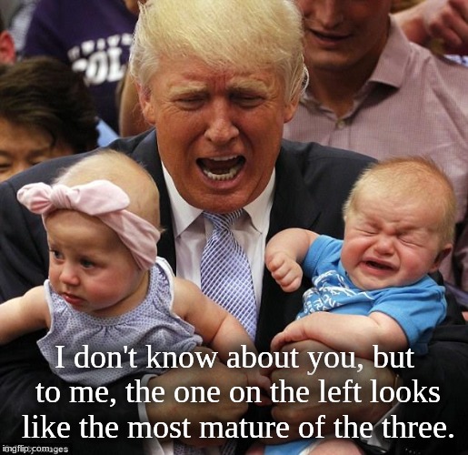 Trump Babies | I don't know about you, but to me, the one on the left looks like the most mature of the three. | image tagged in trump babies | made w/ Imgflip meme maker