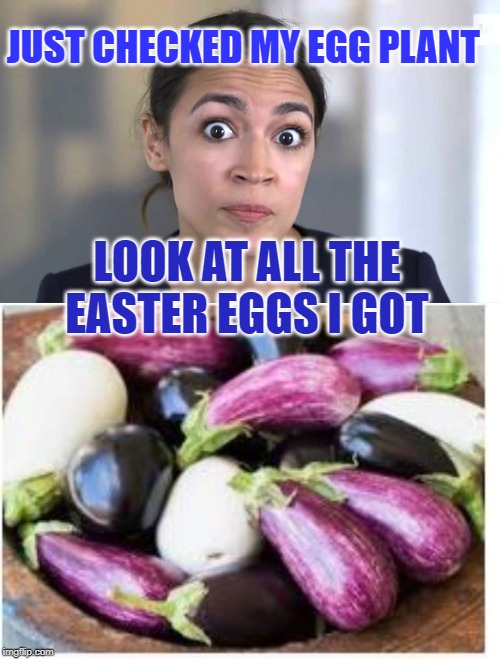 JUST CHECKED MY EGG PLANT; LOOK AT ALL THE EASTER EGGS I GOT | image tagged in alexandraino occasional-cortex | made w/ Imgflip meme maker