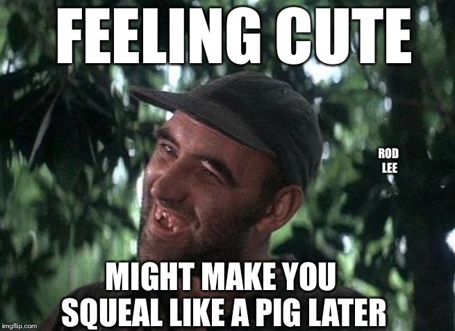 Feeling cute | FEELING CUTE; ROD LEE; MIGHT MAKE YOU SQUEAL LIKE A PIG LATER | image tagged in feeling cute | made w/ Imgflip meme maker