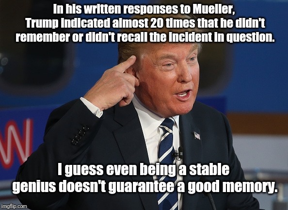 Donald Trump Pointing to His Head | In his written responses to Mueller, Trump indicated almost 20 times that he didn't remember or didn't recall the incident in question. I guess even being a stable genius doesn't guarantee a good memory. | image tagged in donald trump pointing to his head | made w/ Imgflip meme maker