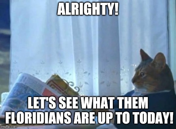 Cat newspaper | ALRIGHTY! LET'S SEE WHAT THEM FLORIDIANS ARE UP TO TODAY! | image tagged in cat newspaper | made w/ Imgflip meme maker