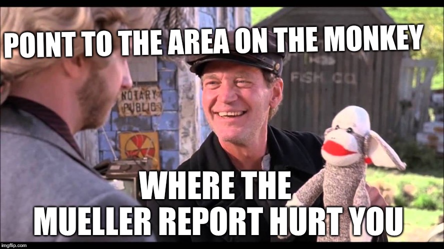 Tubular | POINT TO THE AREA ON THE MONKEY; WHERE THE MUELLER REPORT HURT YOU | image tagged in tubular | made w/ Imgflip meme maker