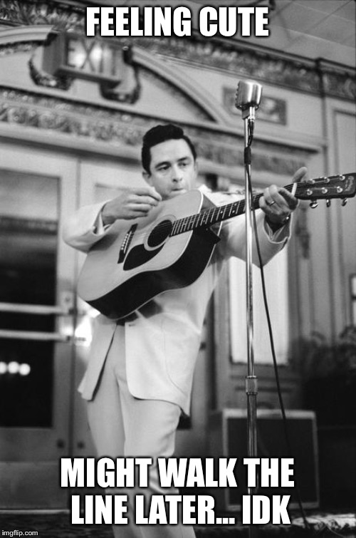 FEELING CUTE; MIGHT WALK THE LINE LATER... IDK | image tagged in johnny cash,feeling cute | made w/ Imgflip meme maker