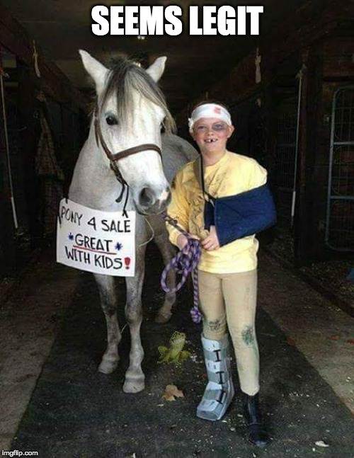 anyone for some horse play? |  SEEMS LEGIT | image tagged in horse,kid,injured,toy frog,horse sale | made w/ Imgflip meme maker