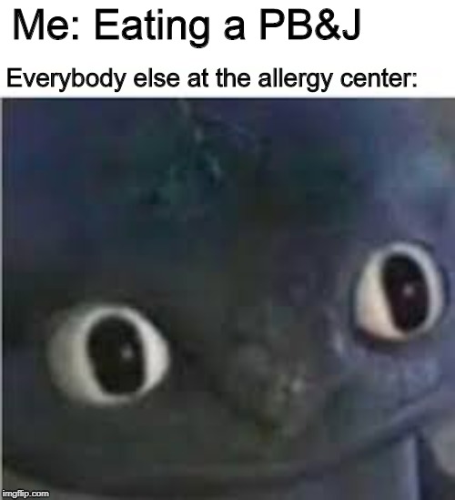 Did somebody say nut? | Me: Eating a PB&J; Everybody else at the allergy center: | image tagged in toothless | made w/ Imgflip meme maker