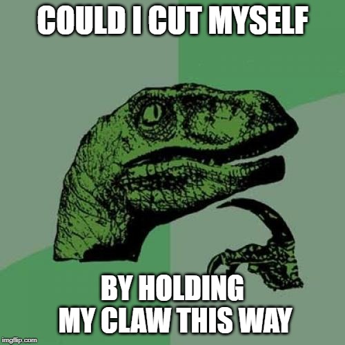 Safety First? | COULD I CUT MYSELF; BY HOLDING MY CLAW THIS WAY | image tagged in memes,philosoraptor | made w/ Imgflip meme maker
