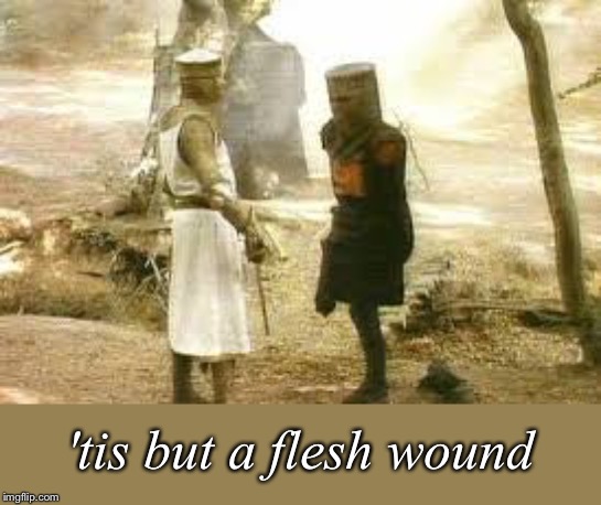 Acl black knight flesh wound invincible  | 'tis but a flesh wound | image tagged in acl black knight flesh wound invincible | made w/ Imgflip meme maker