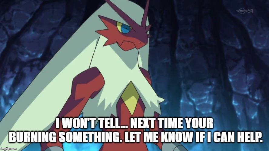blaziken | I WON'T TELL... NEXT TIME YOUR BURNING SOMETHING. LET ME KNOW IF I CAN HELP. | image tagged in blaziken | made w/ Imgflip meme maker