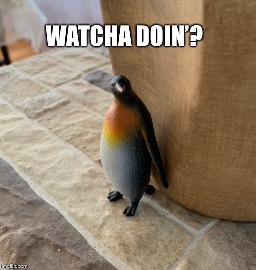 Sneaky penguin | WATCHA DOIN’? | image tagged in sneaky penguin | made w/ Imgflip meme maker