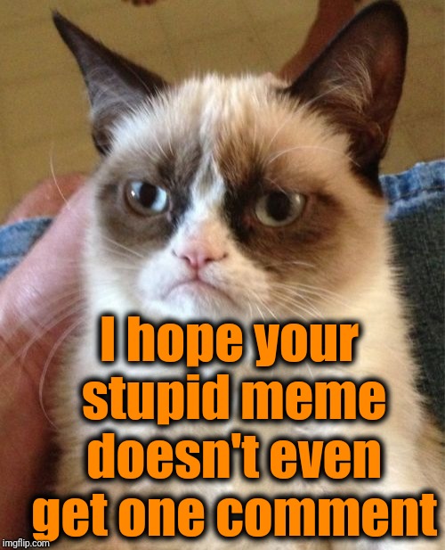 Grumpy Cat Meme | I hope your stupid meme doesn't even get one comment | image tagged in memes,grumpy cat | made w/ Imgflip meme maker